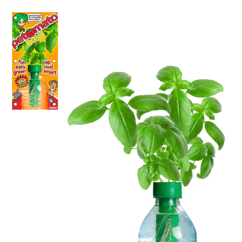 hydroponic garden