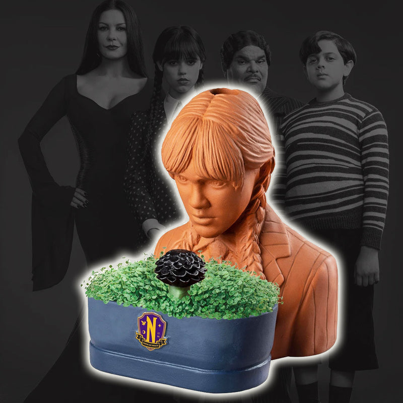 Celebrate Season 2 of Wednesday with New Chia Pets! 🌱🖤