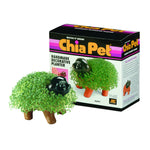 Chia Pet Planter - Puppy