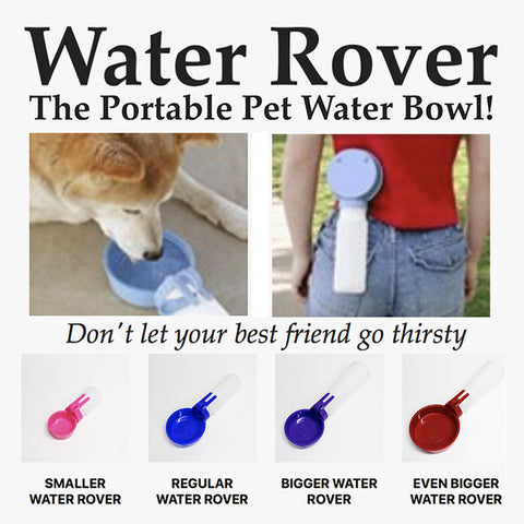 dog water dispenser