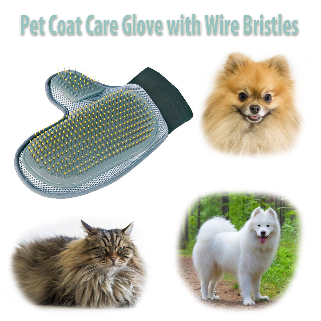 cat grooming glove