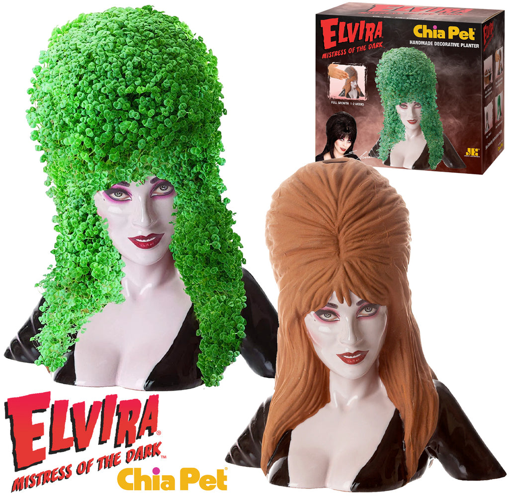 chia pet plant