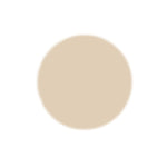 Grout Shield Grout Restoration System-  (Ivory)