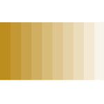 Grout Shield Grout Restoration System- (Arrowwood)