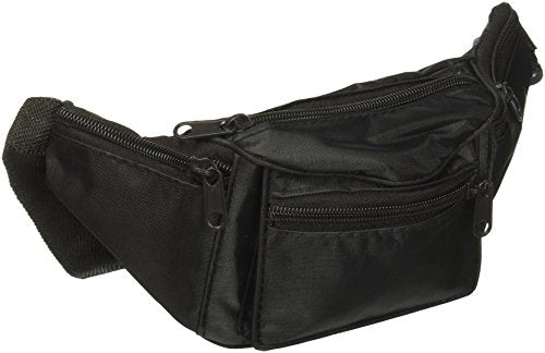 Kole 4 Compartment Travel Waist Pouch