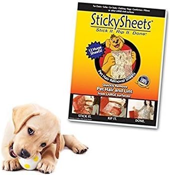 pet hair