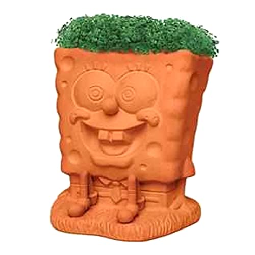 Chia Pet Planter - Spongebob