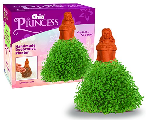 Chia Pet Planter - Princess