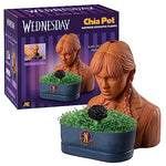 Chia Pet Planter - Wednesday