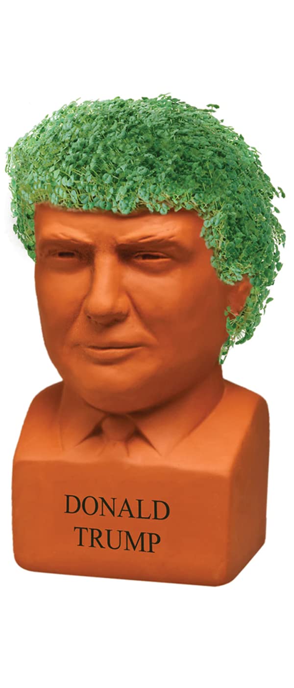 Chia Pet Planter - Donald Trump