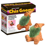 Chia Pet Planter - Gnome