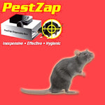 PestZap Refill Traps for Mice- 5 Pack