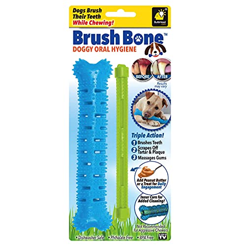 BrushBone - Dog Toothbrush Bone