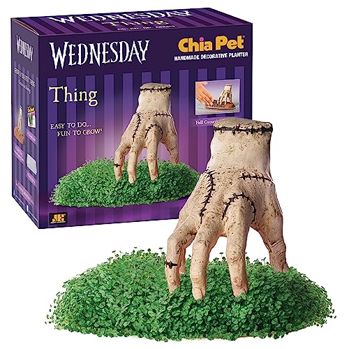 Chia Pet Planter - Thing