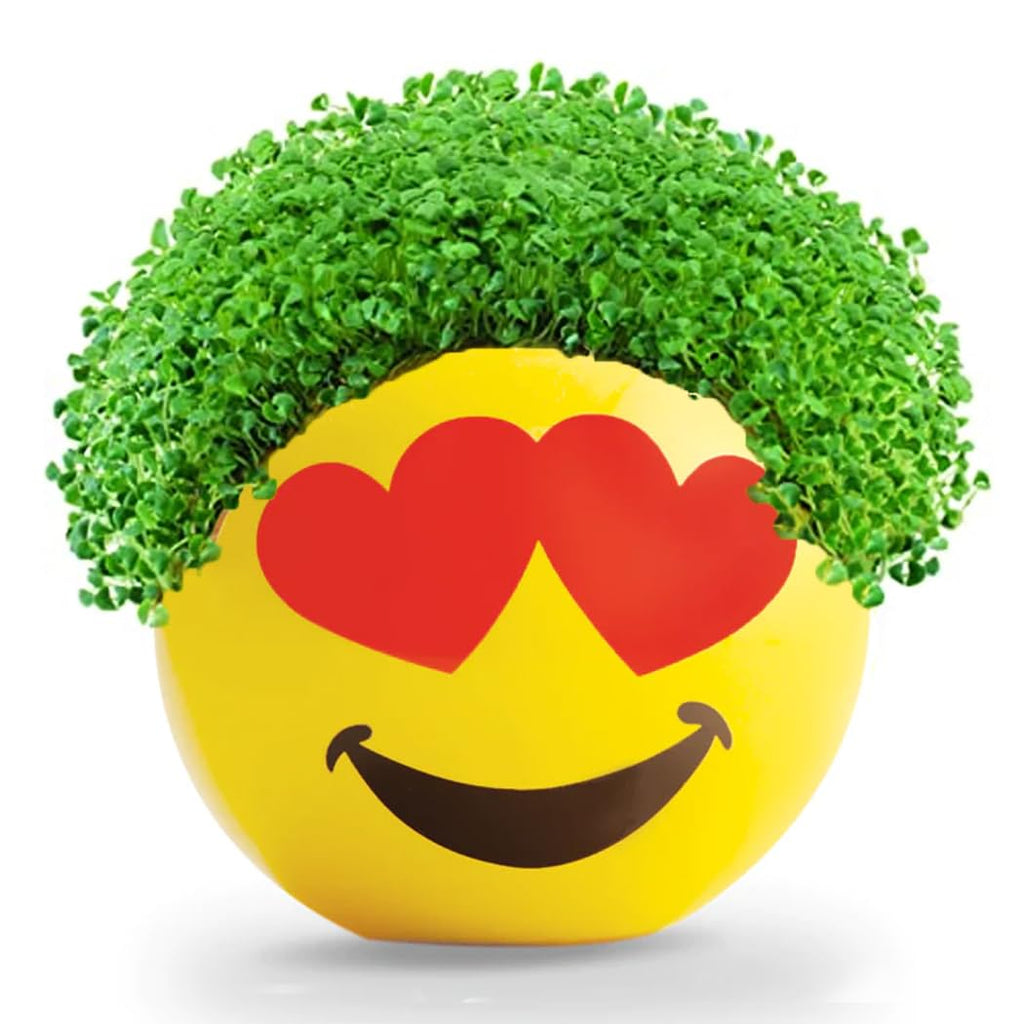 Chia Pet Planter - Emoji - Heart Eyes