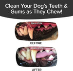 BrushBone - Dog Toothbrush Bone - Bacon Bonanza