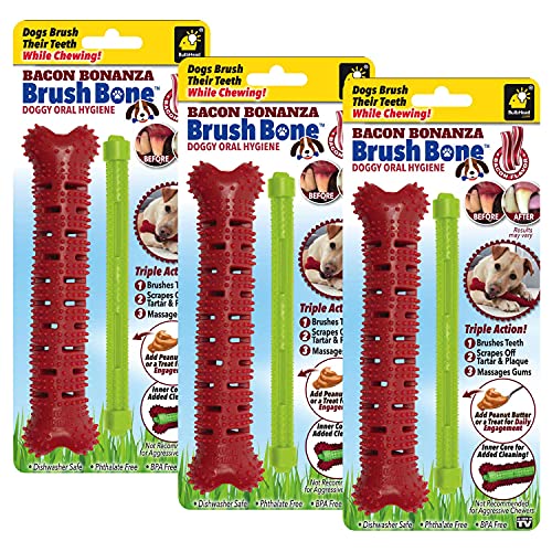 BrushBone - Dog Toothbrush Bone - Bacon Bonanza - Three Pack