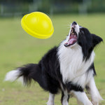 dog fetch toy