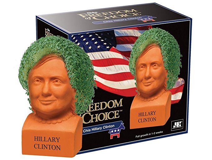 Freedom of Choice Hillary Clinton
