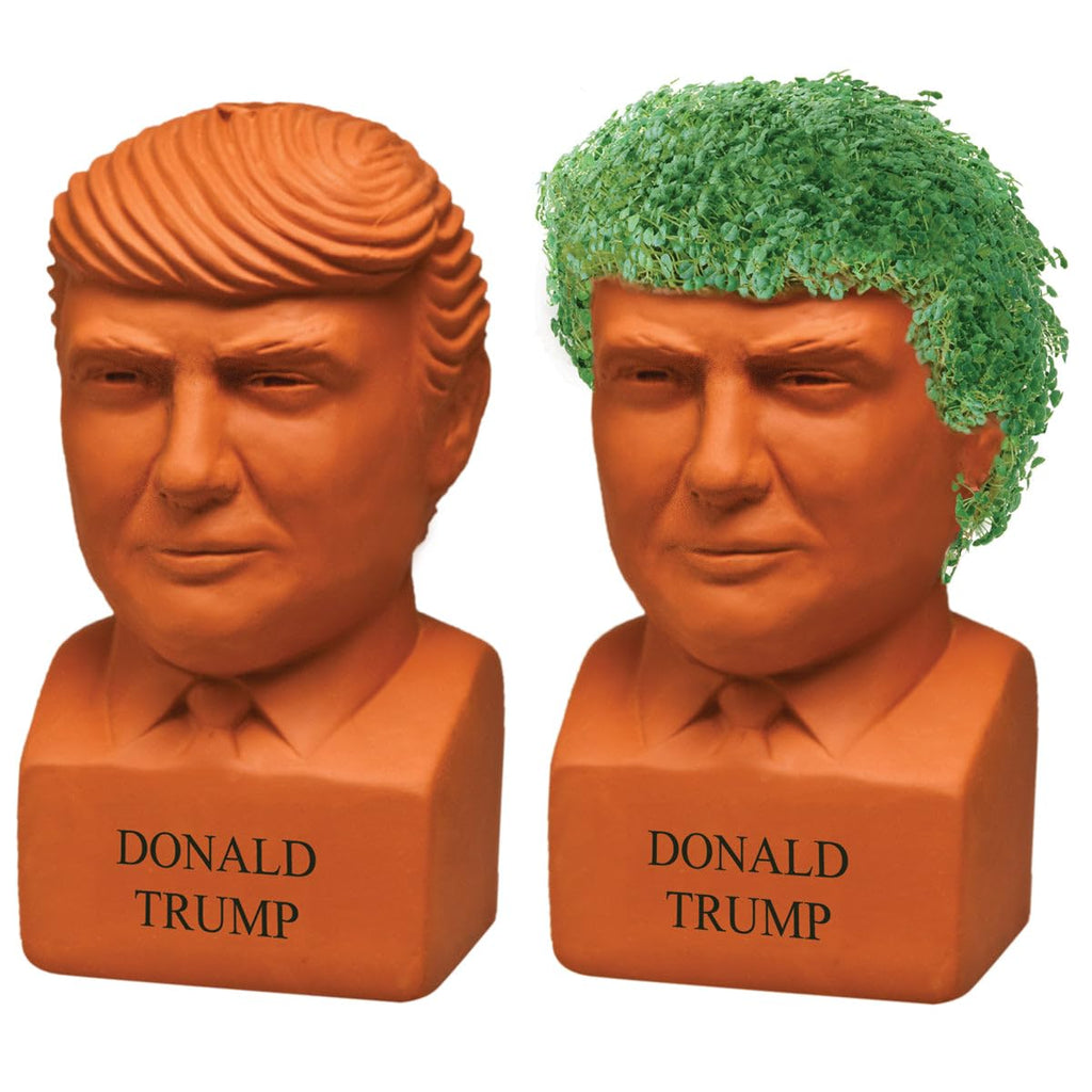 Chia Pet Planter - Donald Trump