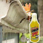 Lemon Gutter Zap Environmentally Safe Black Streak Gutter Cleaner, 32 fl oz.