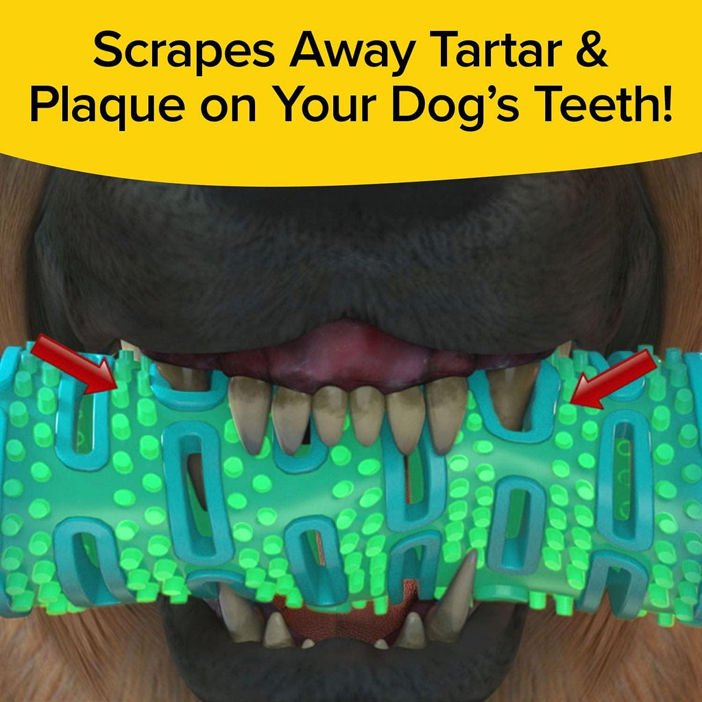 dog fetch toy