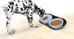 my dog will not eat dog food