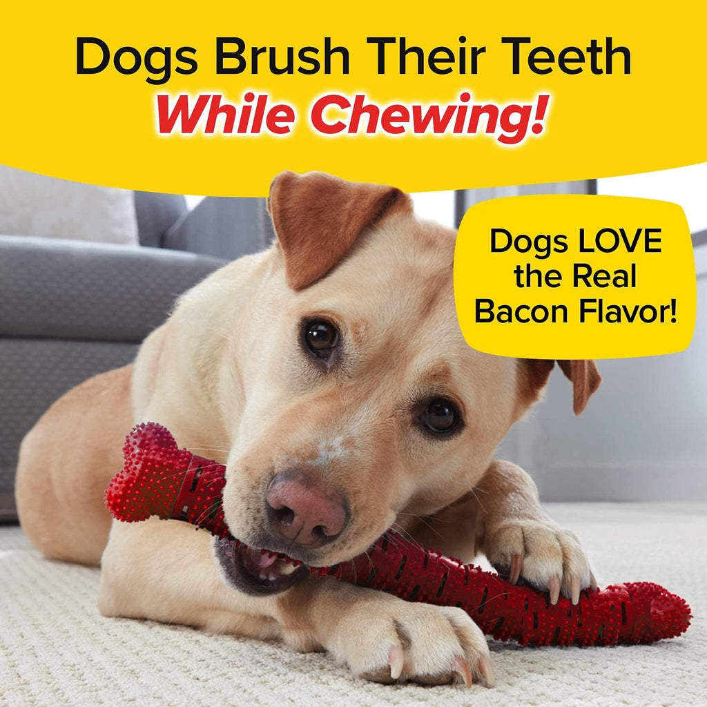 dog fetch toy