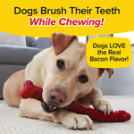 dog fetch toy