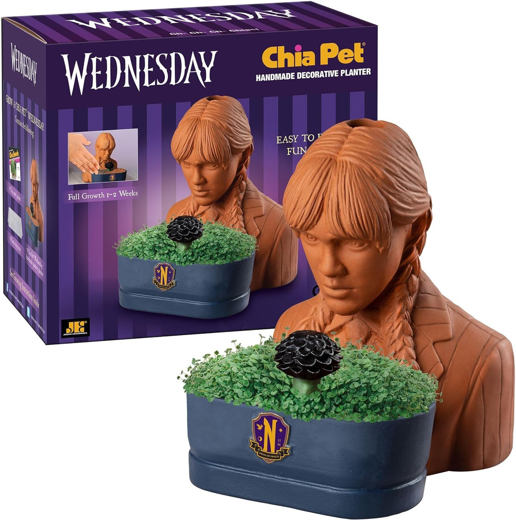 Chia Pet Planter - Wednesday