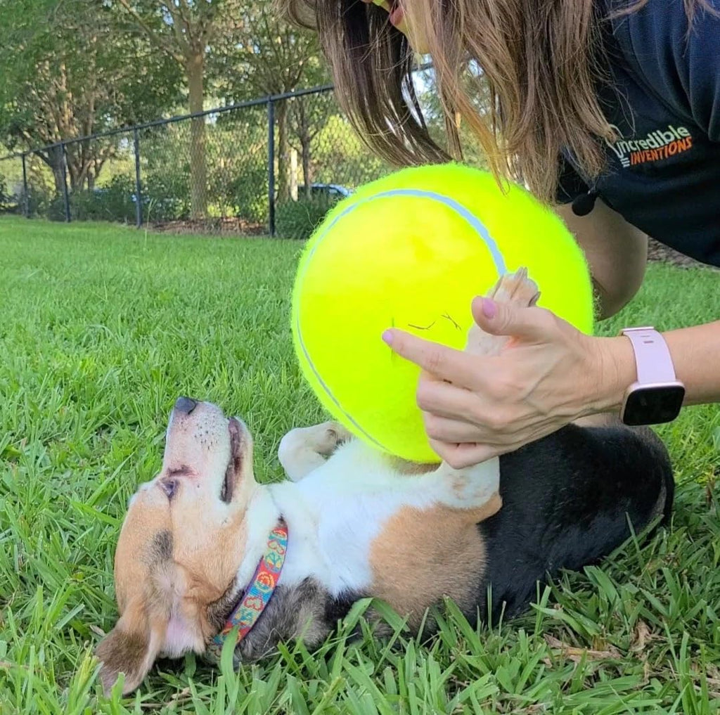 Giant Durable Dog Tennis Ball - 9.5"