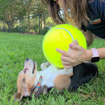 Giant Durable Dog Tennis Ball - 9.5"