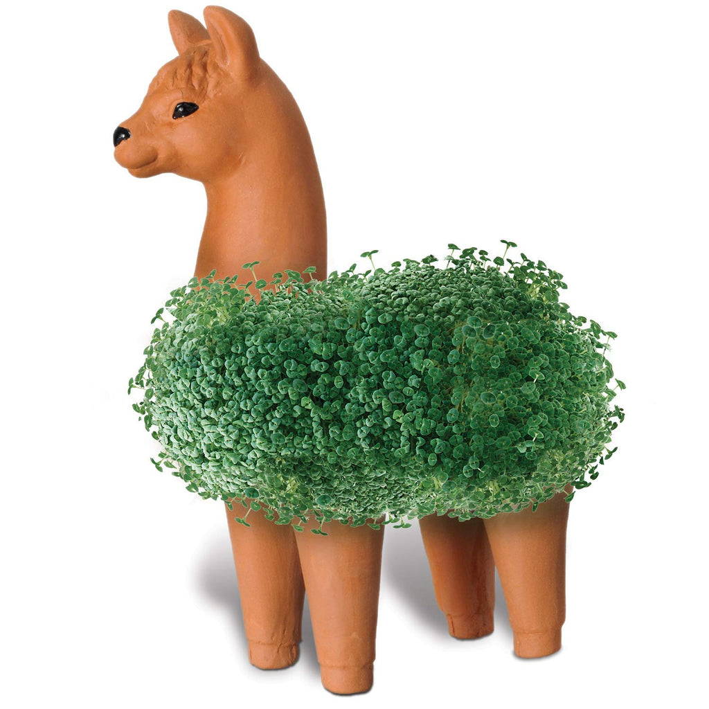 Chia Pet Planter - Llama