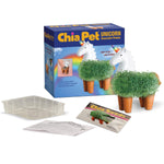 ceramic plant pots