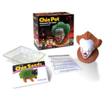chia seed plant