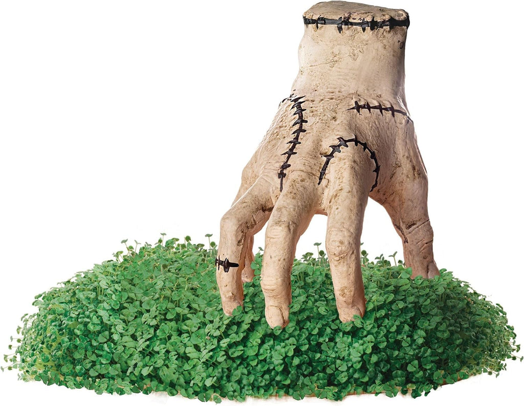 Chia Pet Planter - Thing