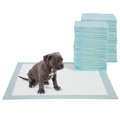 pee pads for dogs