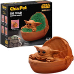 chia planter