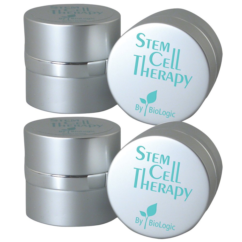 stem cell