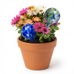 Aqua Globes Self-Watering Plant Globes 2-Pack