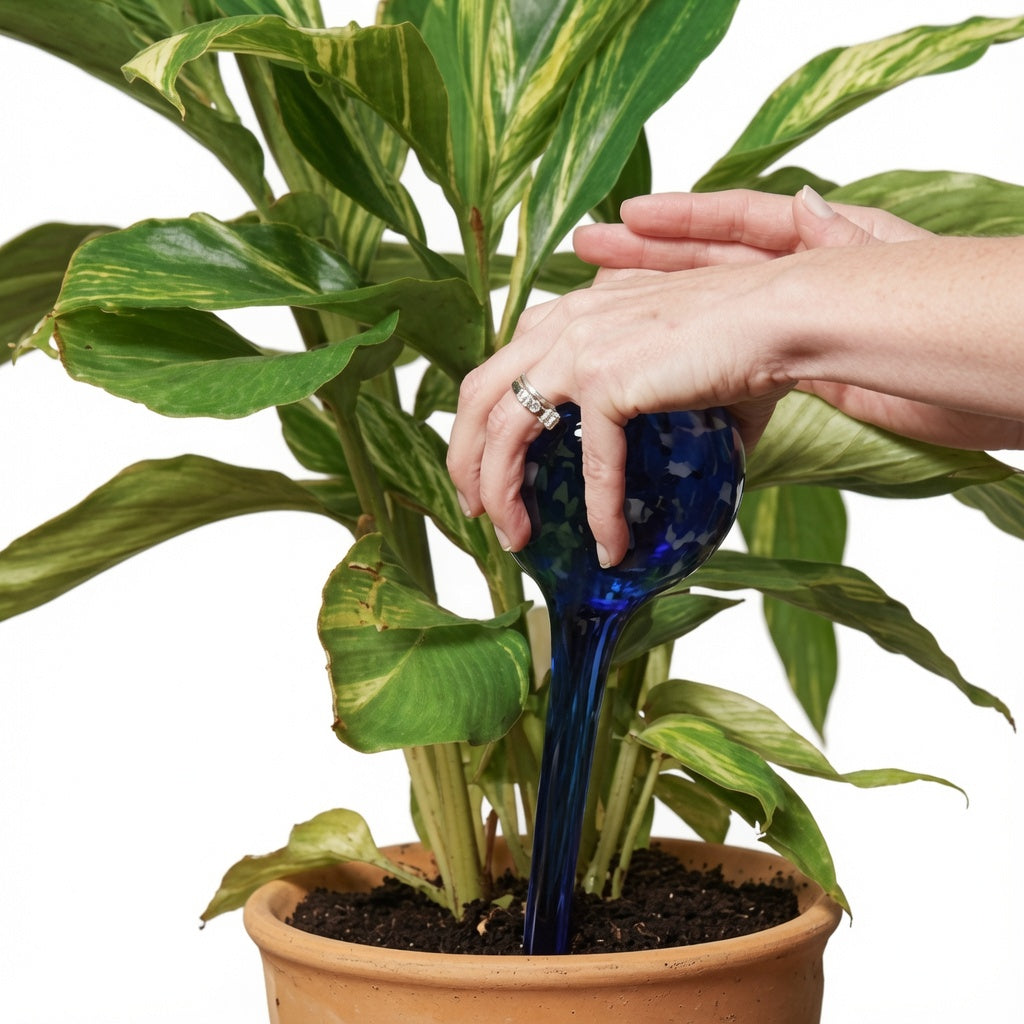 Aqua Globes Self-Watering Plant Globes 2-Pack