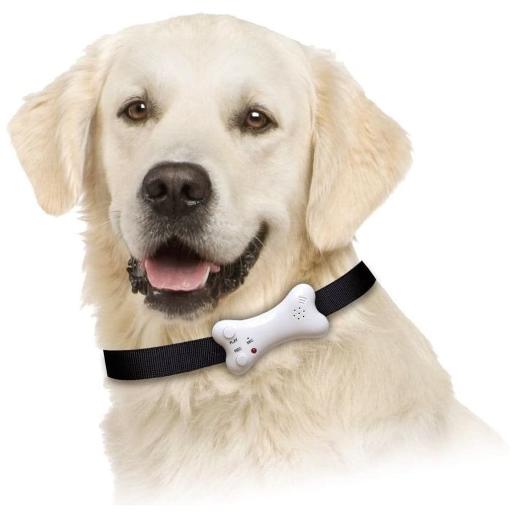 Buster's Bone Voice Recording Pet I.D.