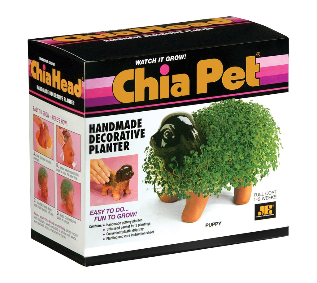 indoor decorative planters