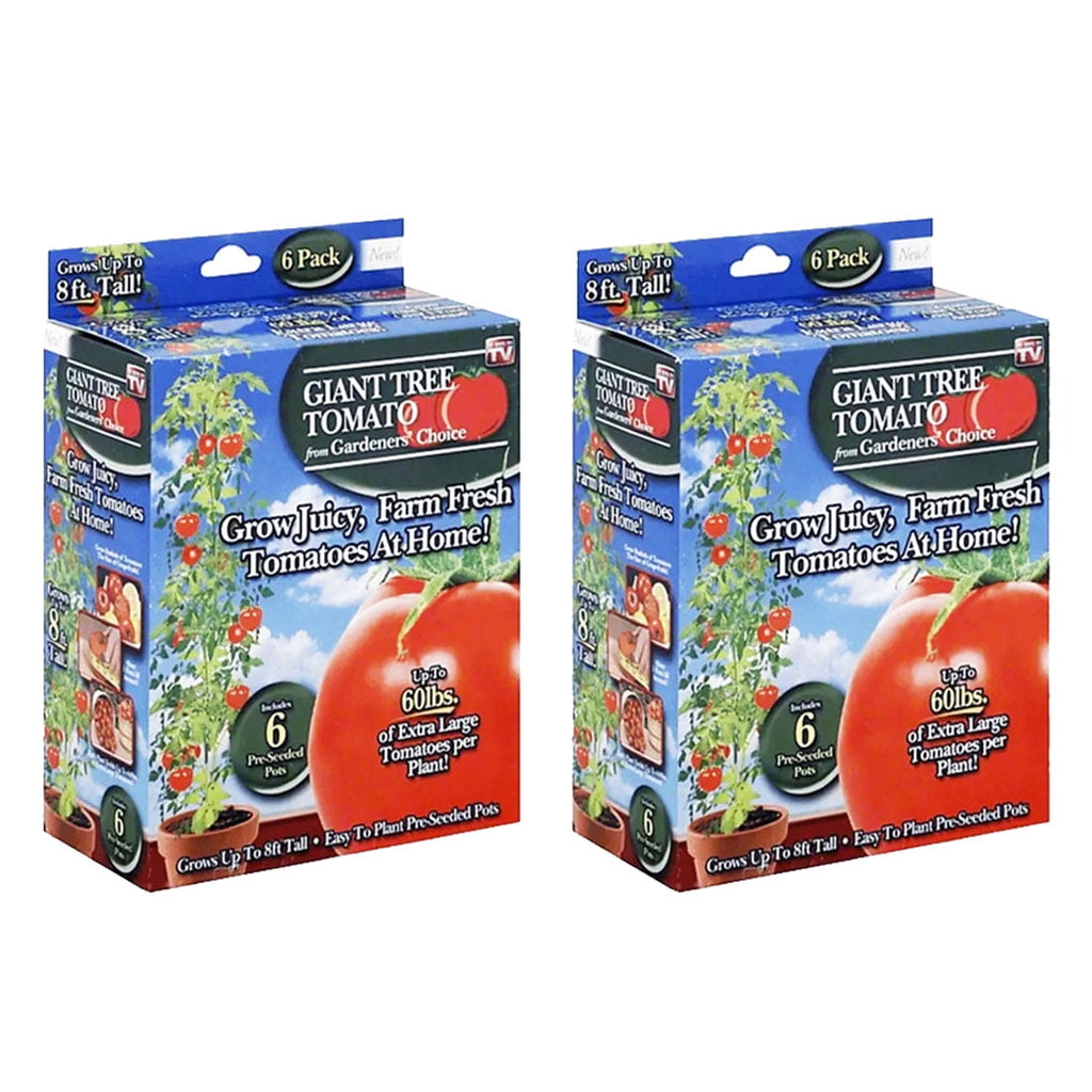 Gardener's Choice Giant Tree Tomato - Includes 12 Pre-Seeded Pots