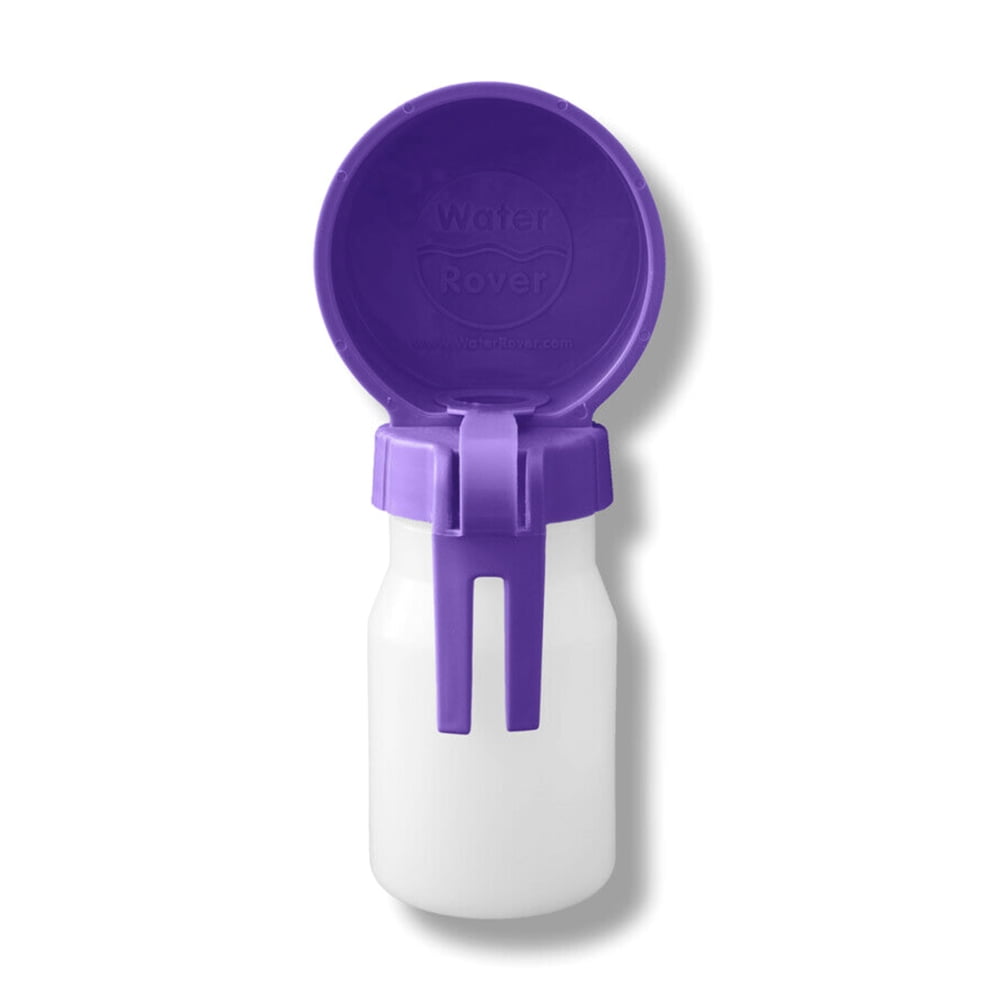 Water Rover Smaller 3.5-inch Bowl and 8 Ounce Bottle, Purple