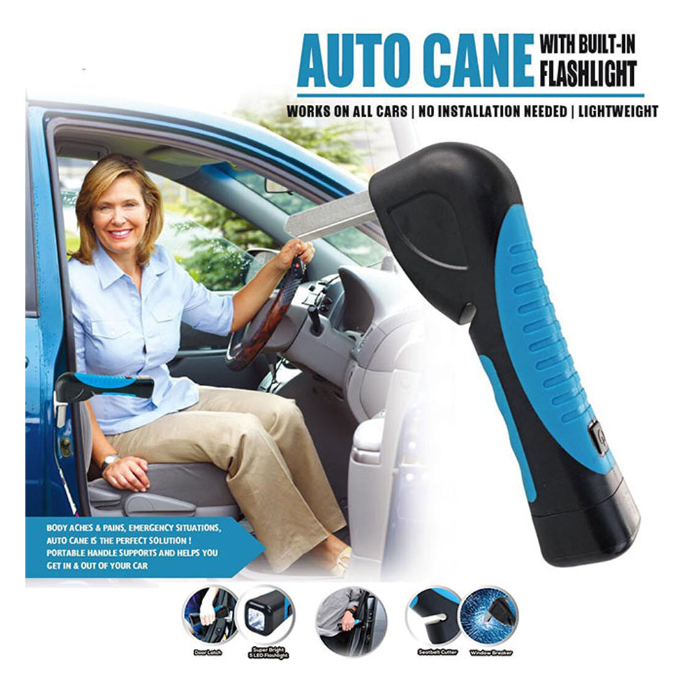 3-In-1 car cane