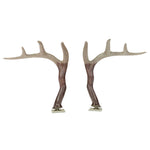 car antlers