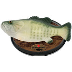 singing bass