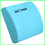 BluTiger Lumbar Support Cushion