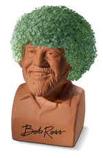 chia head